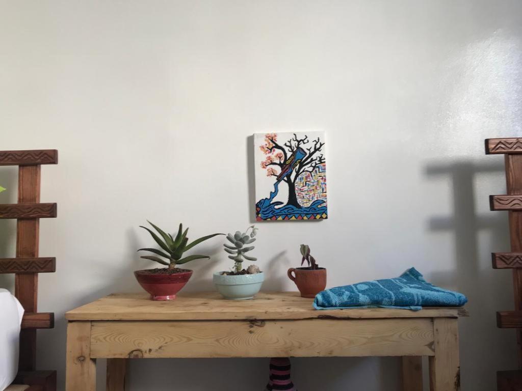 Binic Surf House Bed & Breakfast Taghazout Eksteriør bilde
