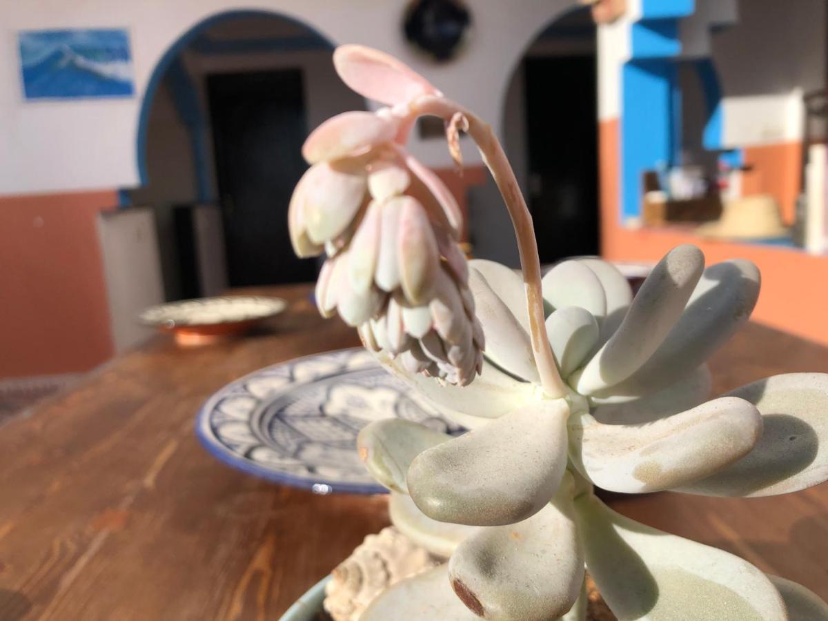 Binic Surf House Bed & Breakfast Taghazout Eksteriør bilde