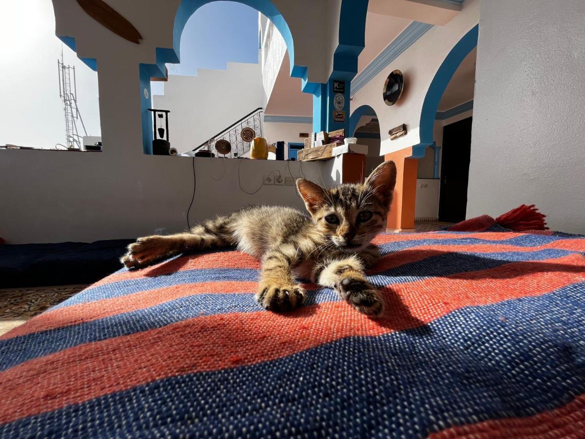 Binic Surf House Bed & Breakfast Taghazout Eksteriør bilde